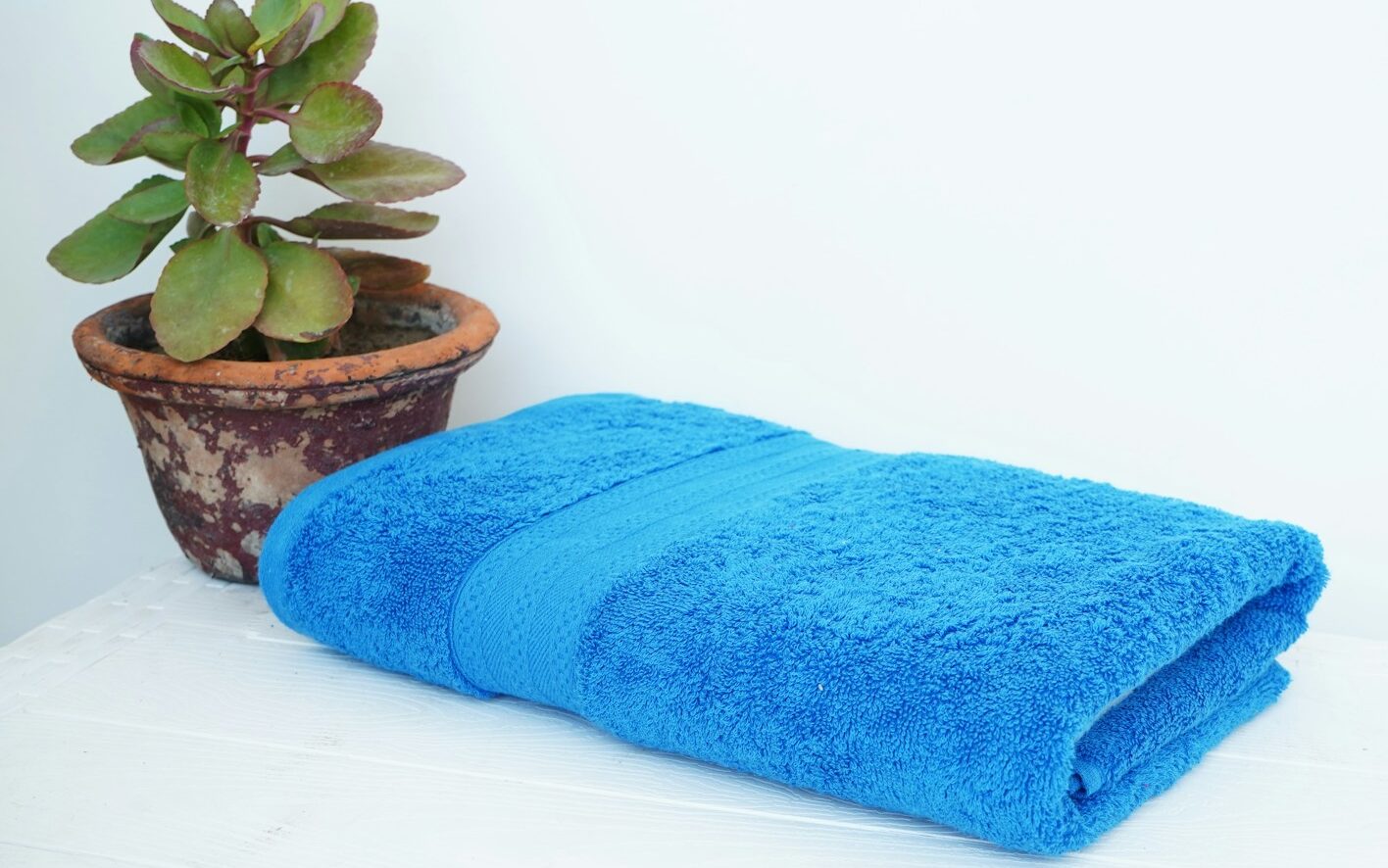 Praktiske oplysninger a blue towel sitting next to a potted plant